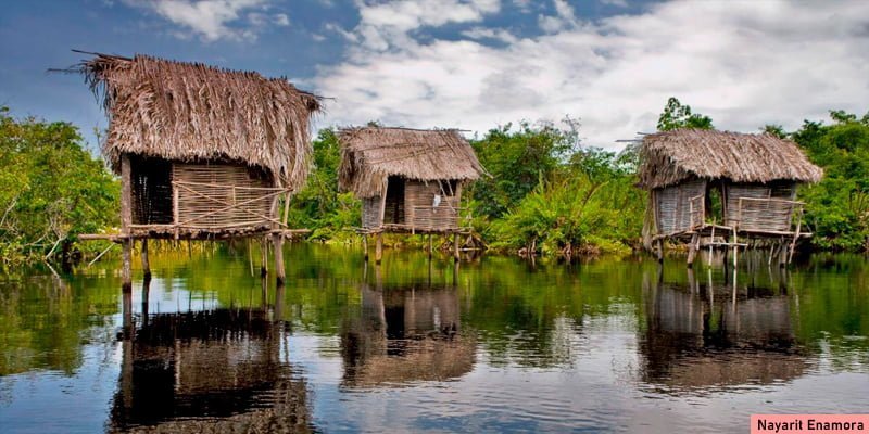 ¿Cuál es el principal grupo étnico de Nayarit? 4 La Tovara