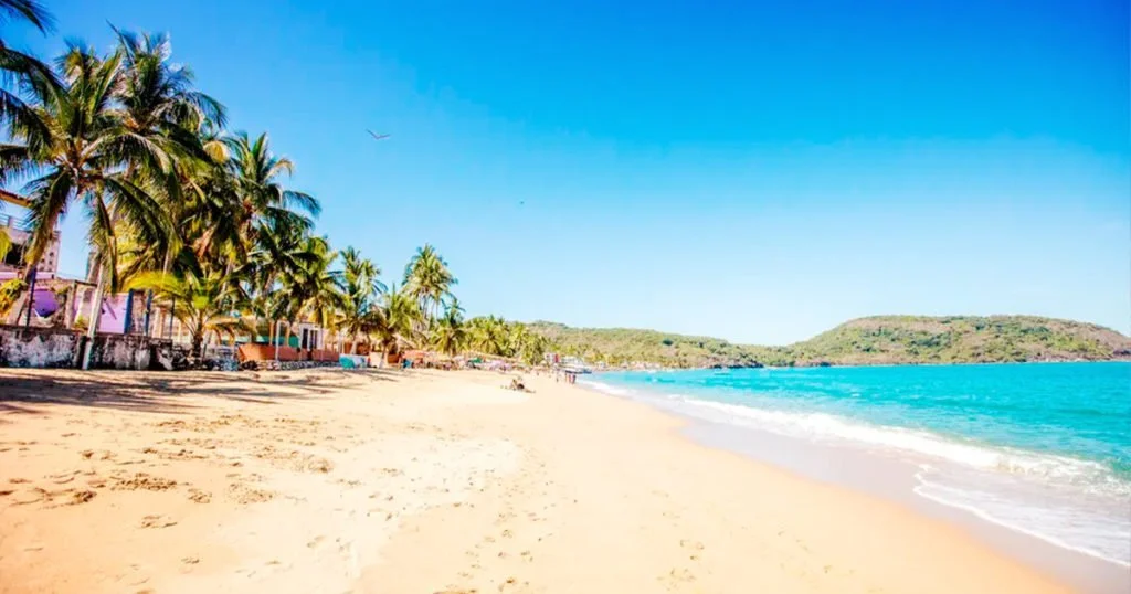Vista de la playa y arena en Guayabitos, palmeras en el horizonte y aves volando sobre un cielo azul