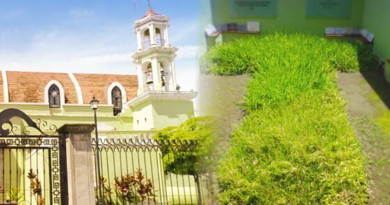 La Cruz de Zacate: La milagrosa leyenda de Tepic