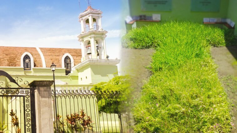 La Cruz de Zacate: La milagrosa leyenda de Tepic