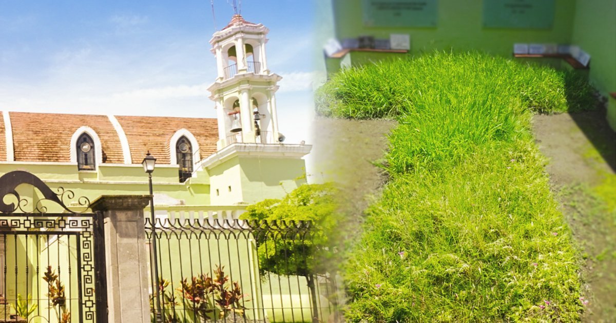 La Cruz de Zacate: La milagrosa leyenda de Tepic