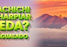 test palabras tipicas de Nayarit