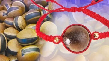 ojo de venado tradicion