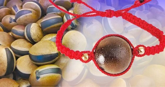 ojo de venado tradicion